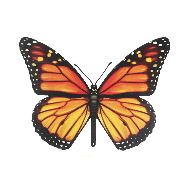 iHcasadécor Butterfly Wall Decor Wayfair